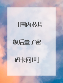 国内芯片级后量子密码卡问世