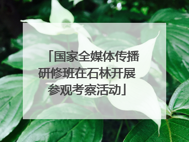国家全媒体传播研修班在石林开展参观考察活动