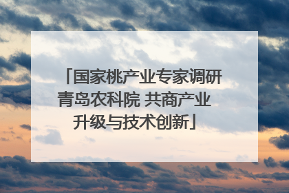 国家桃产业专家调研青岛农科院 共商产业升级与技术创新