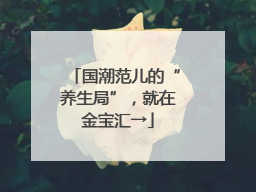 国潮范儿的“养生局”，就在金宝汇→