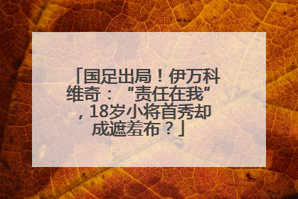 国足出局！伊万科维奇：“责任在我”，18岁小将首秀却成遮羞布？