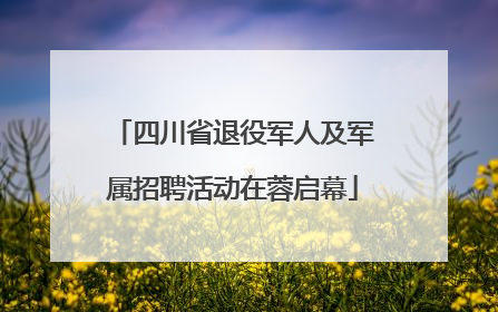 四川省退役军人及军属招聘活动在蓉启幕