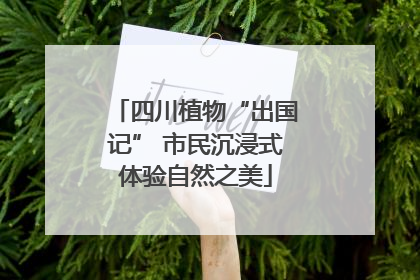 四川植物“出国记” 市民沉浸式体验自然之美