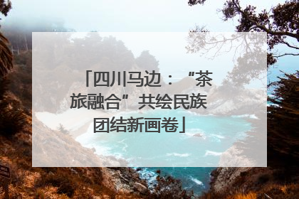 四川马边：“茶旅融合”共绘民族团结新画卷