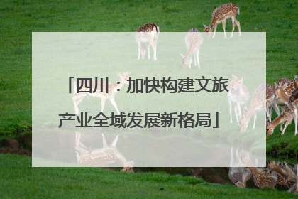 四川：加快构建文旅产业全域发展新格局