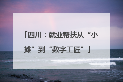 四川：就业帮扶从“小摊”到“数字工匠”