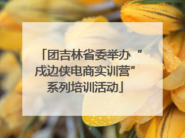团吉林省委举办“戍边侠电商实训营”系列培训活动