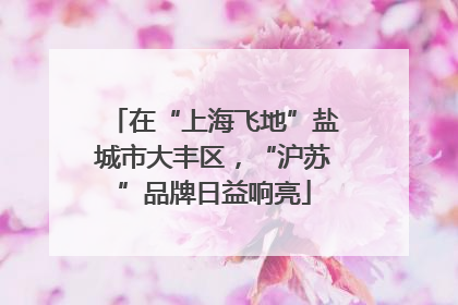 在“上海飞地”盐城市大丰区，“沪苏”品牌日益响亮