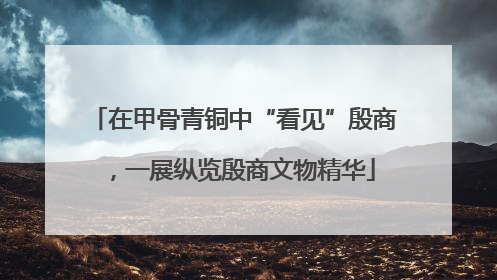 在甲骨青铜中“看见”殷商，一展纵览殷商文物精华