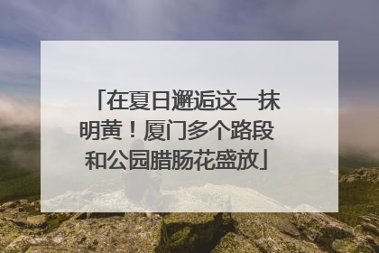 在夏日邂逅这一抹明黄！厦门多个路段和公园腊肠花盛放