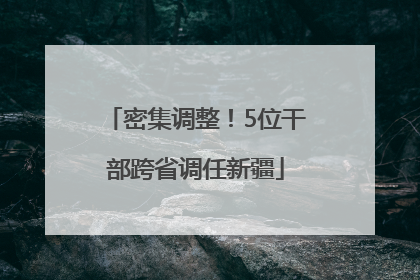 密集调整！5位干部跨省调任新疆