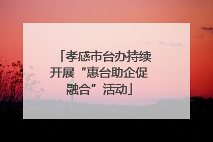 孝感市台办持续开展“惠台助企促融合”活动