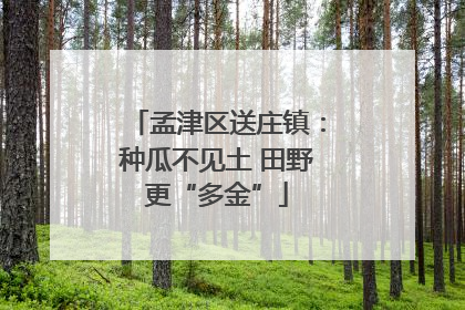 孟津区送庄镇：种瓜不见土 田野更“多金”