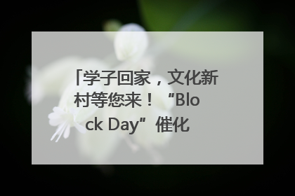 学子回家，文化新村等您来！“Block Day”催化学院式街区新生态