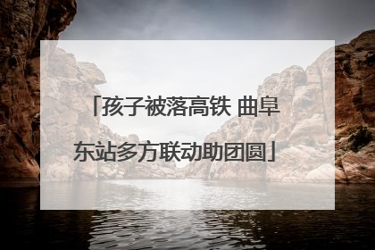 孩子被落高铁 曲阜东站多方联动助团圆