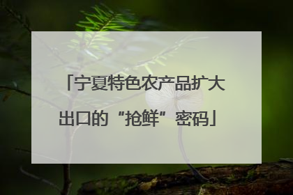 宁夏特色农产品扩大出口的“抢鲜”密码