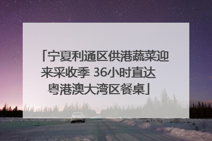 宁夏利通区供港蔬菜迎来采收季 36小时直达粤港澳大湾区餐桌