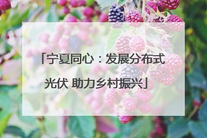 宁夏同心：发展分布式光伏 助力乡村振兴