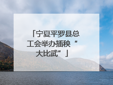 宁夏平罗县总工会举办插秧“大比武”