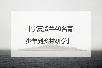 宁夏贺兰40名青少年到乡村研学