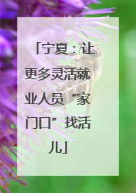 宁夏：让更多灵活就业人员“家门口”找活儿