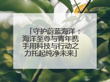守护蔚蓝海洋：海洋至尊与青年携手用科技与行动之力托起纯净未来