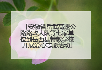安徽省岳武高速公路路政大队等七家单位到岳西县特教学校开展爱心志愿活动
