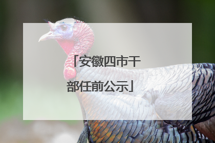 安徽四市干部任前公示