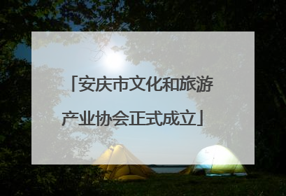 安庆市文化和旅游产业协会正式成立