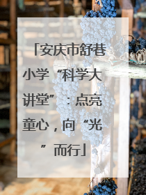 安庆市舒巷小学“科学大讲堂”：点亮童心，向“光”而行