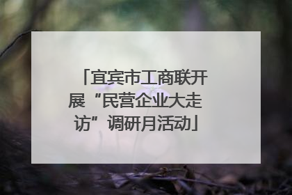 宜宾市工商联开展“民营企业大走访”调研月活动