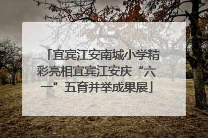 宜宾江安南城小学精彩亮相宜宾江安庆“六一”五育并举成果展