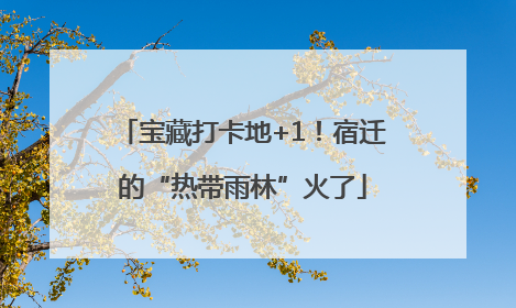 宝藏打卡地+1！宿迁的“热带雨林”火了