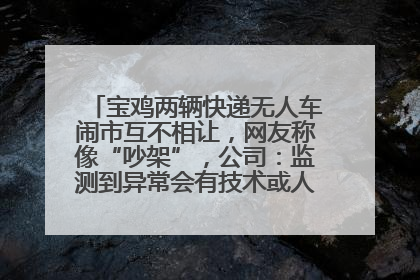 宝鸡两辆快递无人车闹市互不相让，网友称像“吵架”，公司：监测到异常会有技术或人为干预处置
