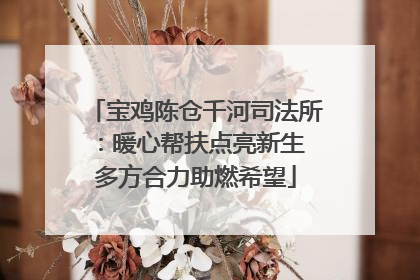 宝鸡陈仓千河司法所：暖心帮扶点亮新生 多方合力助燃希望