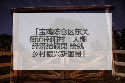 宝鸡陈仓区东关街道南阳村：大棚经济结硕果 绘就乡村振兴新图景