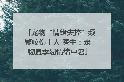 宠物“情绪失控”频繁咬伤主人 医生：宠物夏季易情绪中暑