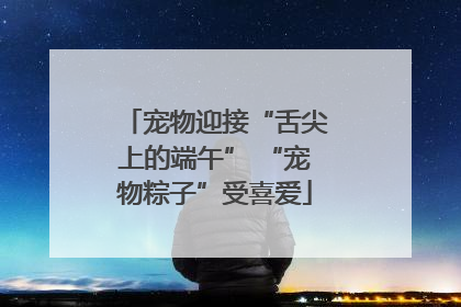 宠物迎接“舌尖上的端午” “宠物粽子”受喜爱