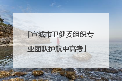 宣城市卫健委组织专业团队护航中高考