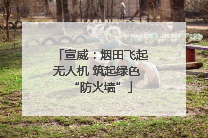 宣威：烟田飞起无人机 筑起绿色“防火墙”