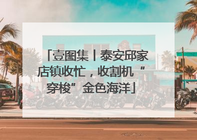 壹图集丨泰安邱家店镇收忙，收割机“穿梭”金色海洋