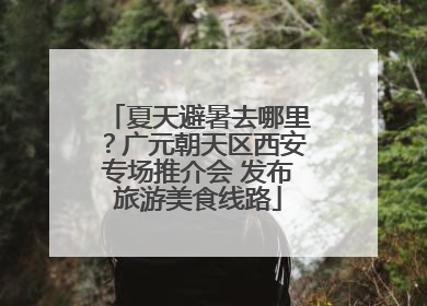 夏天避暑去哪里？广元朝天区西安专场推介会 发布旅游美食线路