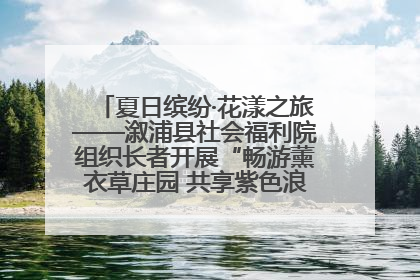 夏日缤纷·花漾之旅——溆浦县社会福利院组织长者开展“畅游薰衣草庄园 共享紫色浪漫”户外活动