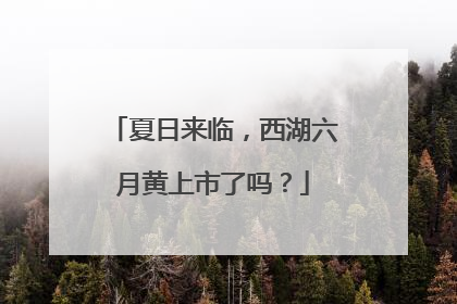 夏日来临，西湖六月黄上市了吗？