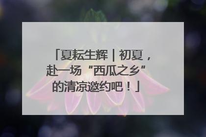 夏耘生辉｜初夏，赴一场“西瓜之乡”的清凉邀约吧！