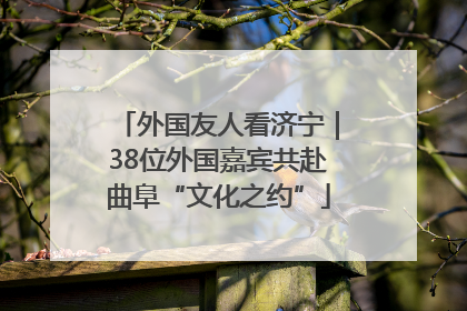 外国友人看济宁｜38位外国嘉宾共赴曲阜“文化之约”