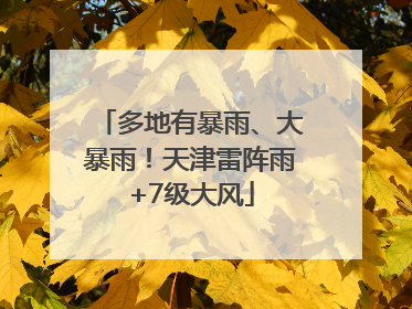 多地有暴雨、大暴雨！天津雷阵雨+7级大风