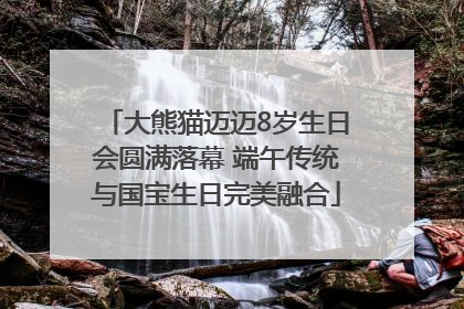 大熊猫迈迈8岁生日会圆满落幕 端午传统与国宝生日完美融合