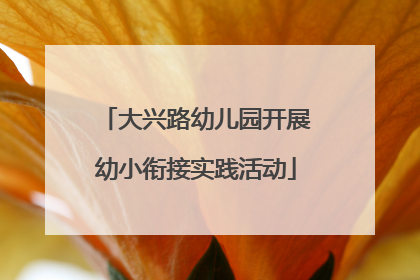 大兴路幼儿园开展幼小衔接实践活动