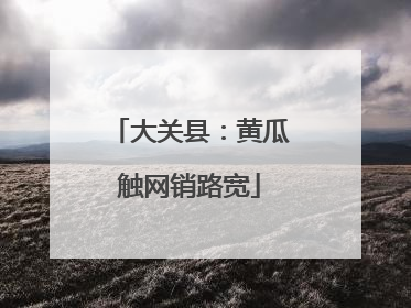 大关县：黄瓜触网销路宽